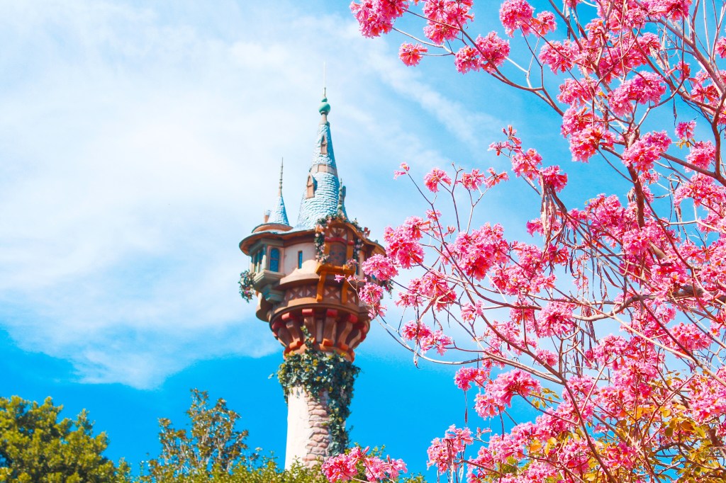 Valentine’s Week Celebration